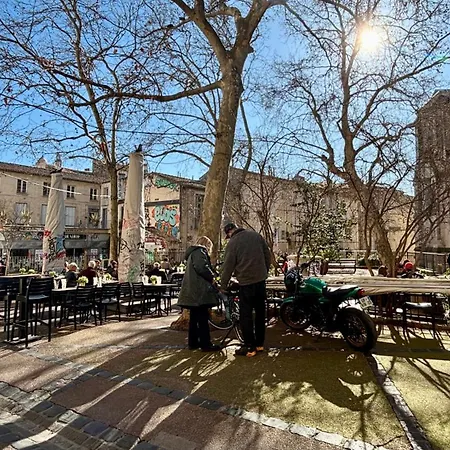 Appartement 3 Pieces Au Coeur Du Vieux Montpellier